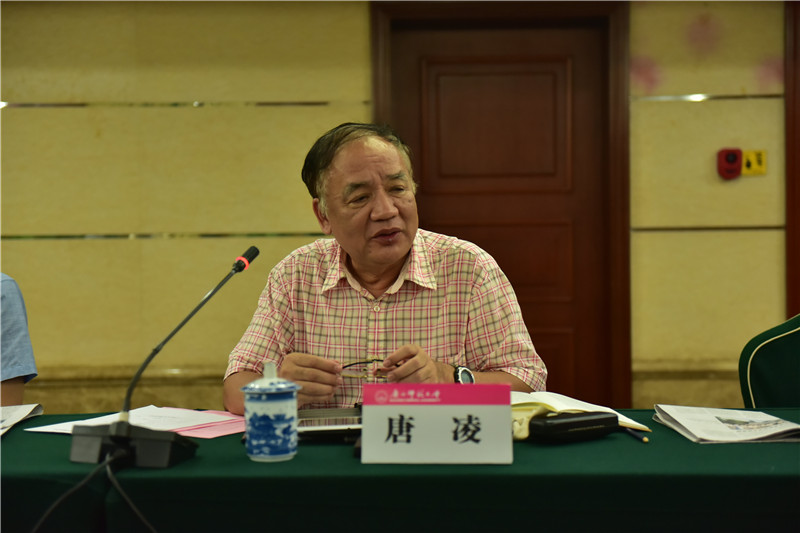 廣西歷史學(xué)會(huì )會(huì )長(cháng)、廣西師范大學(xué)歷史文化與旅游學(xué)院教授唐凌發(fā)言（郭倩 攝）.JPG